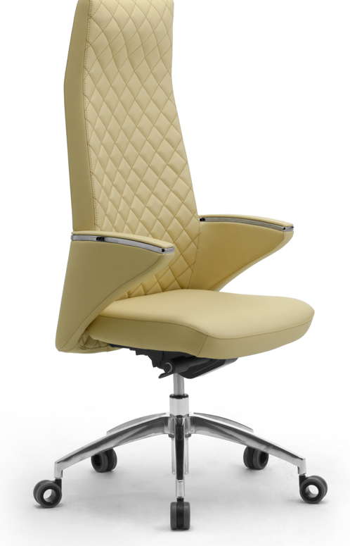 Fauteuil Ergonomique Premium ZEUS